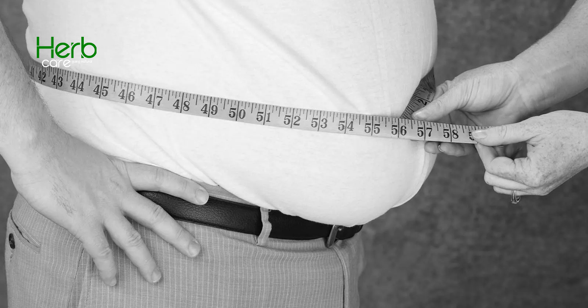 Herbs for Obesity: Effective Natural Remedies